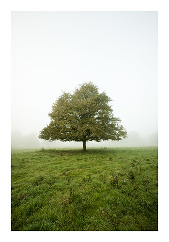 Embracing the Law of Detachment: Letting Go for Greater Success and Happiness